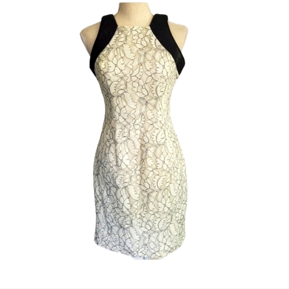 Belle Badgley Mischka Black & White Lace Mesh Dress - Picture 3 of 10